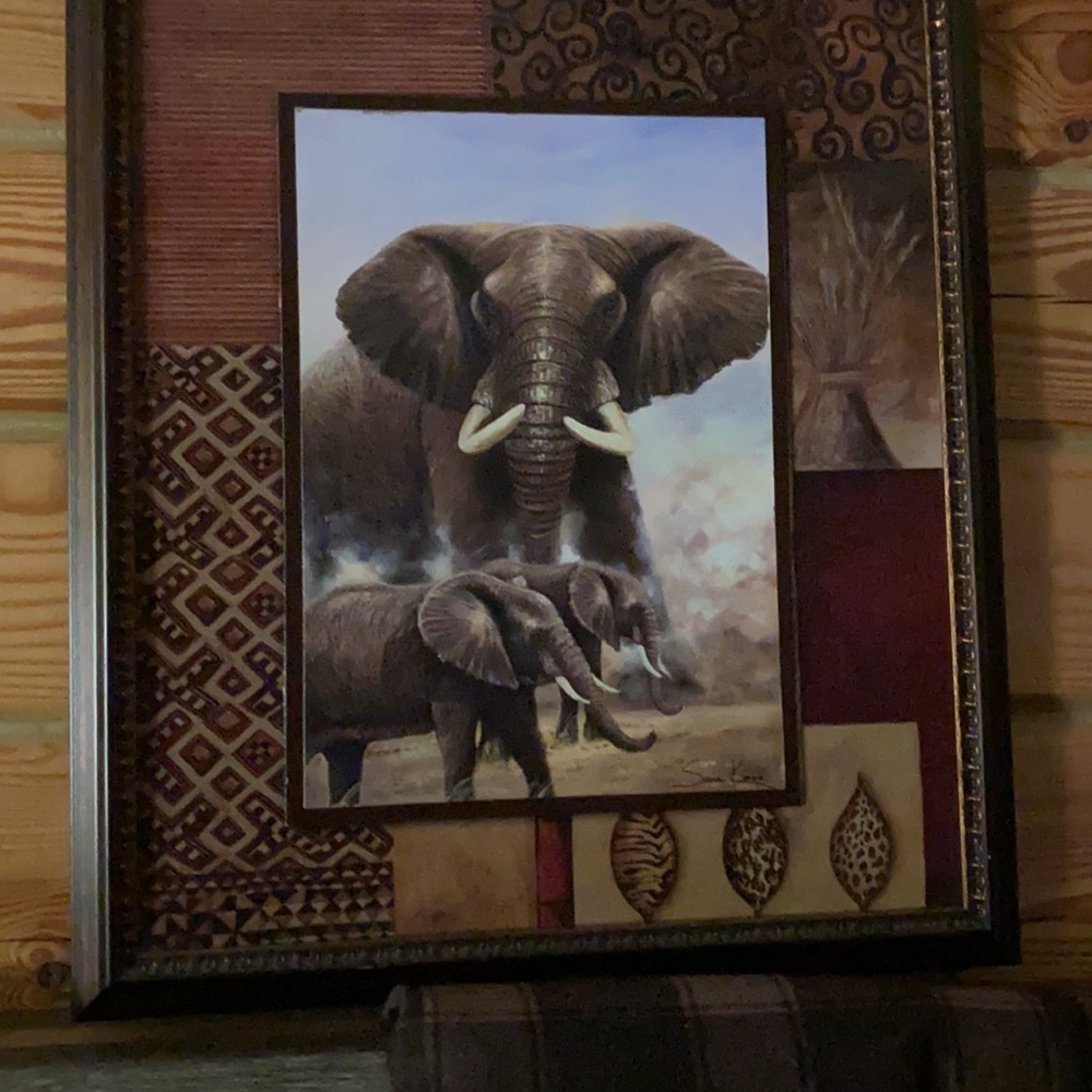 Safari - Picture 2 of 6